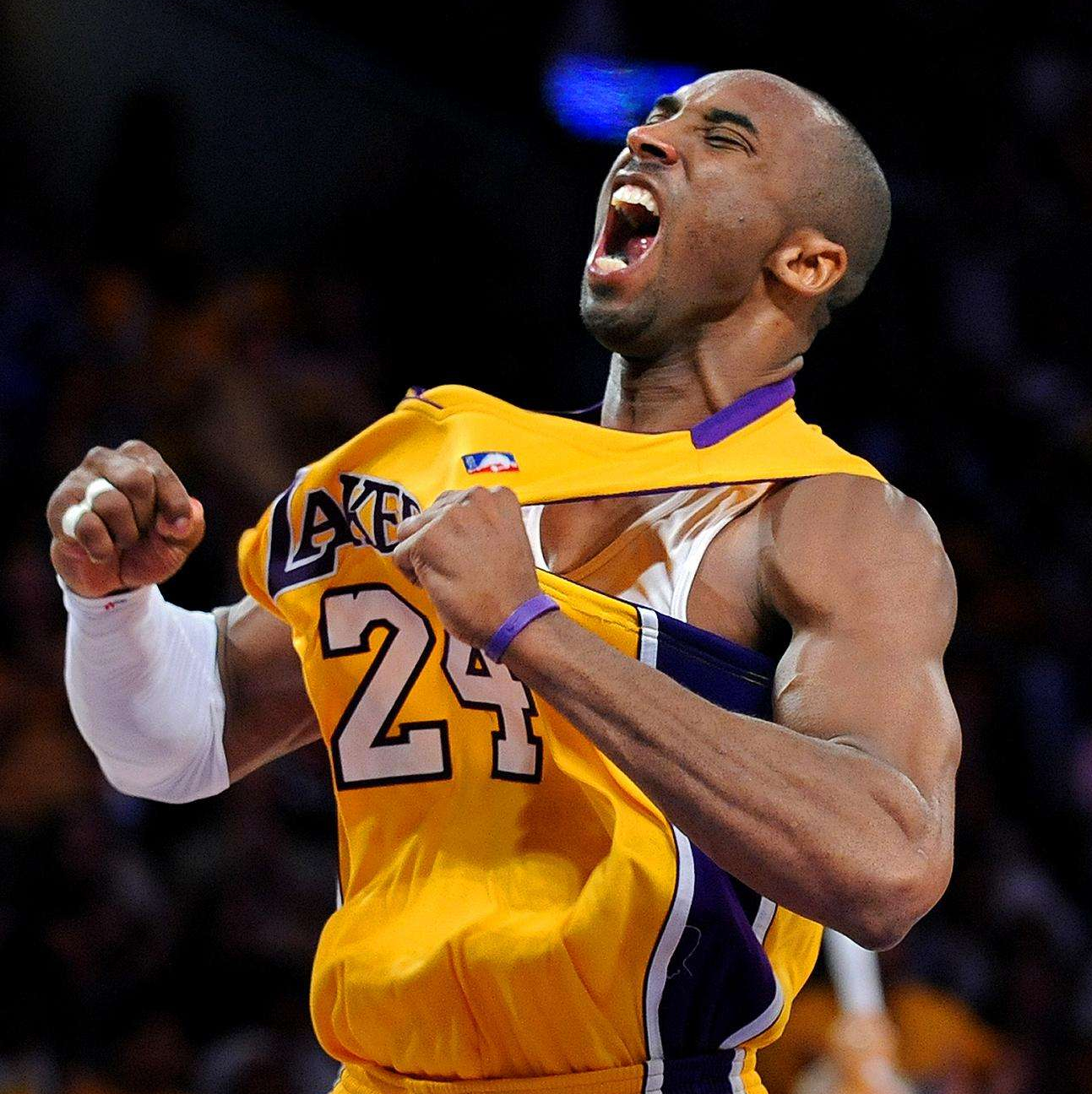 也再次印证 也再次印证