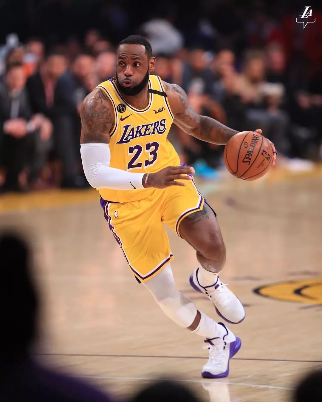 凯恩早期多 凯恩早期多